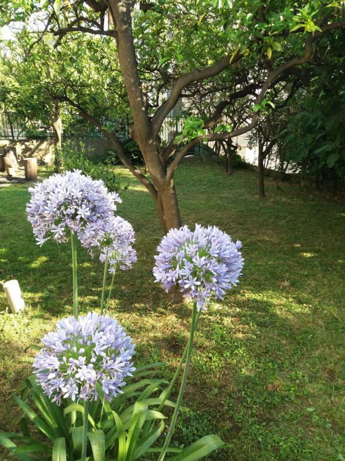 Vila Skala Herceg Novi Luaran gambar